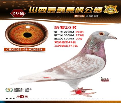 ɽ����i�Qِ20��