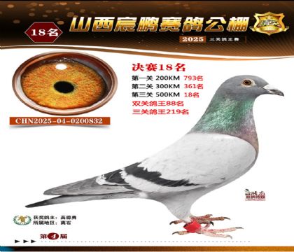 ɽ����i�Qِ18��