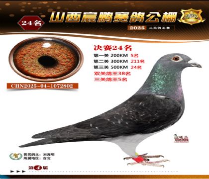 ɽ����i�Qِ24��