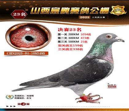 ɽ����i�Qِ23��