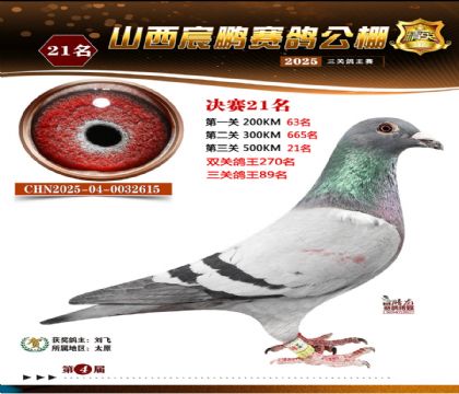 ɽ����i�Qِ21��