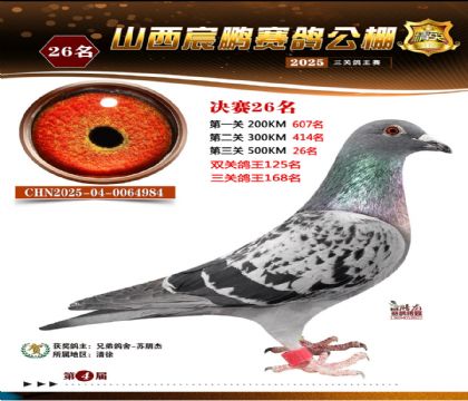 ɽ����i�Qِ26��