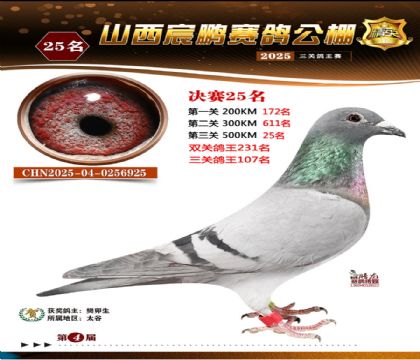 ɽ����i�Qِ25��