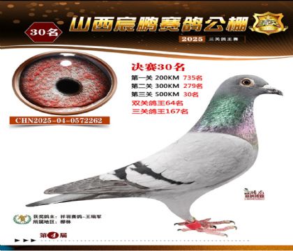 ɽ����i�Qِ30��