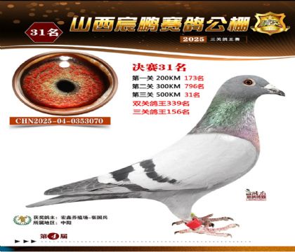 ɽ����i�Qِ31��