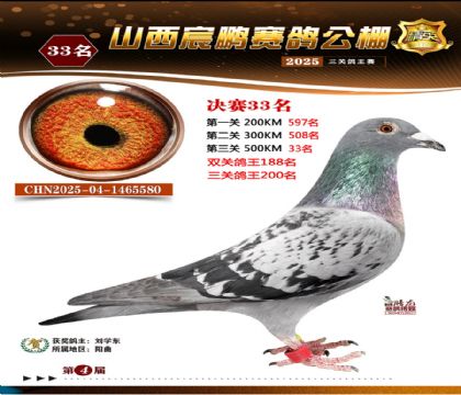 ɽ����i�Qِ33��