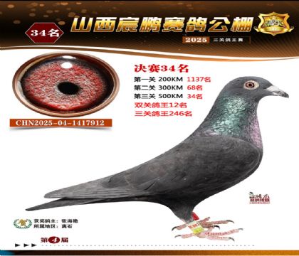 ɽ����i�Qِ34��