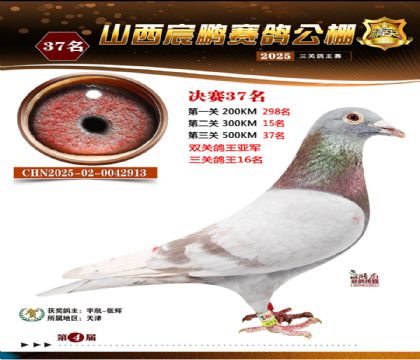 ɽ����i�Qِ37��