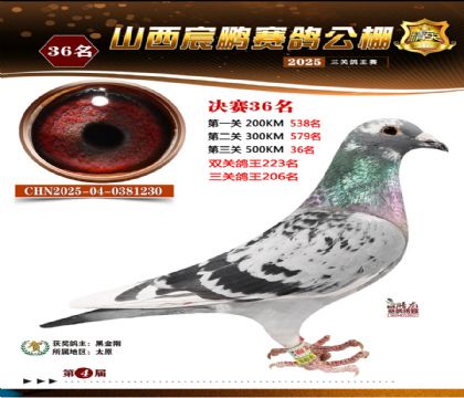 ɽ����i�Qِ36��