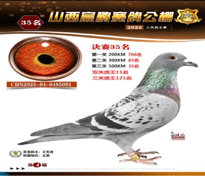 ɽ����i�Qِ35��