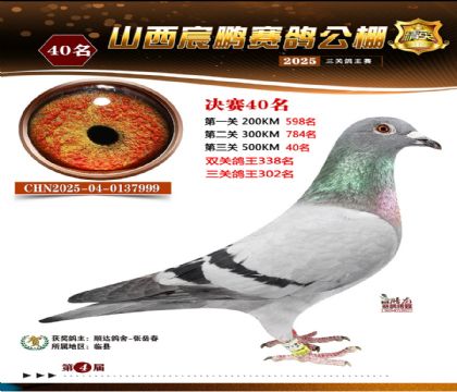 ɽ����i�Qِ40��