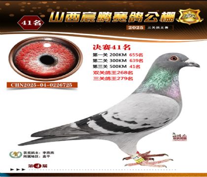 ɽ����i�Qِ41��