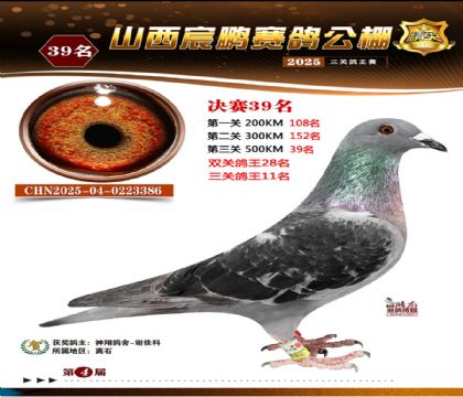 ɽ����i�Qِ39��