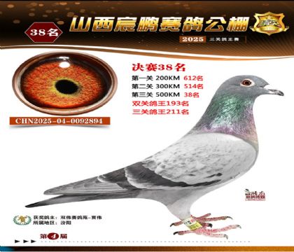 ɽ����i�Qِ38��