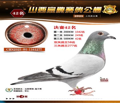 ɽ����i�Qِ42��