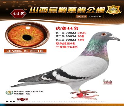 ɽ����i�Qِ44��