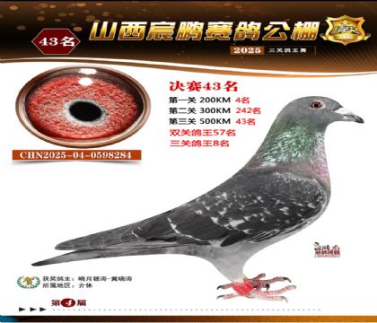 ɽ����i�Qِ43��