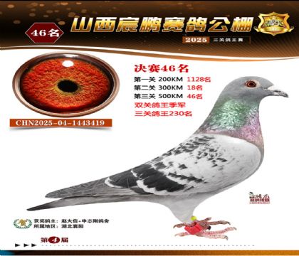 ɽ����i�Qِ46��