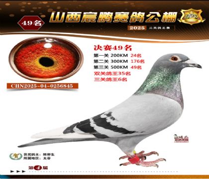 ɽ����i�Qِ49��