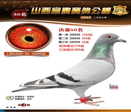 ɽ����i�Qِ50��