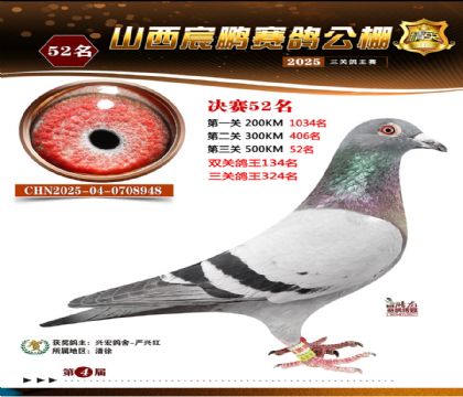 ɽ����i�Qِ52��