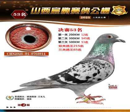 ɽ����i�Qِ53��