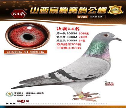 ɽ����i�Qِ54��