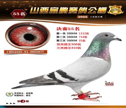 ɽ����i�Qِ55��