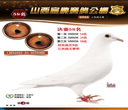 ɽ����i�Qِ58��