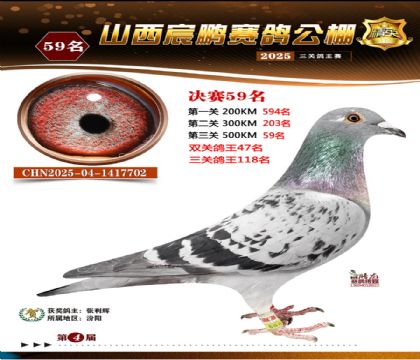 ɽ����i�Qِ59��