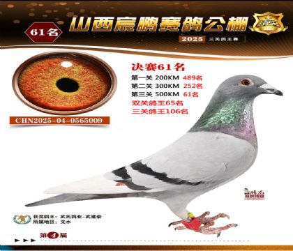 ɽ����i�Qِ61��