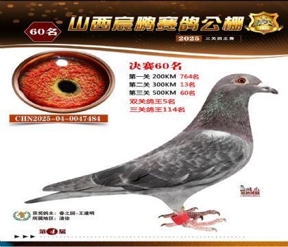 ɽ����i�Qِ60��