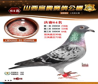 ɽ����i�Qِ64��