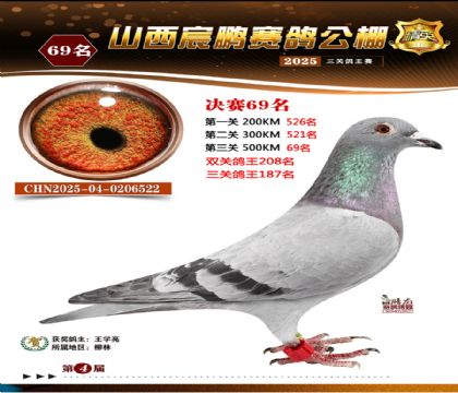 ɽ����i�Qِ69��