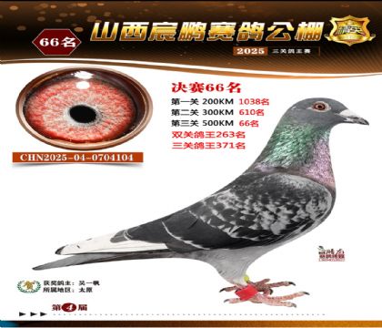 ɽ����i�Qِ66��