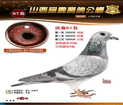 ɽ����i�Qِ67��