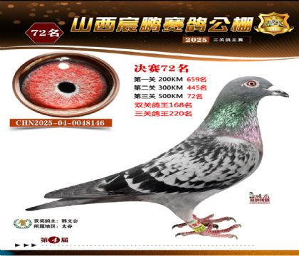 ɽ����i�Qِ72��