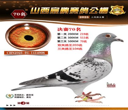 ɽ����i�Qِ70��