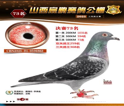 ɽ����i�Qِ73��