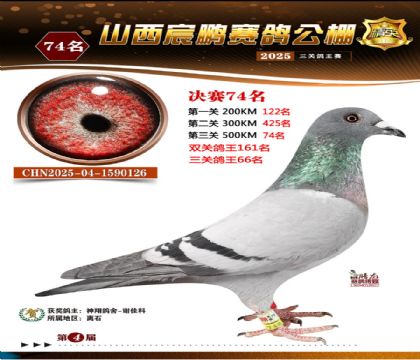 ɽ����i�Qِ74��