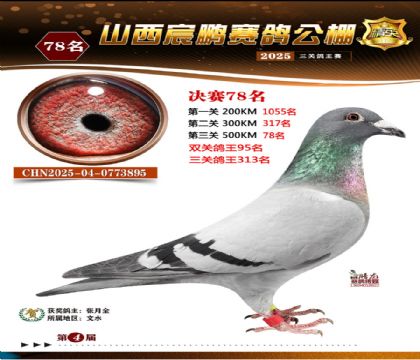 ɽ����i�Qِ78��