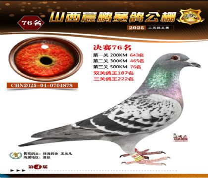 ɽ����i�Qِ76��