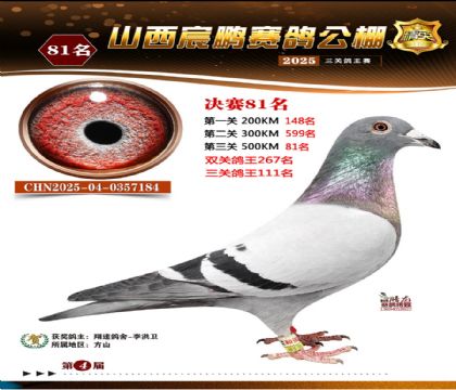 ɽ����i�Qِ81��