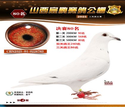 ɽ����i�Qِ80��