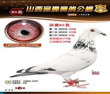 ɽ����i�Qِ85��