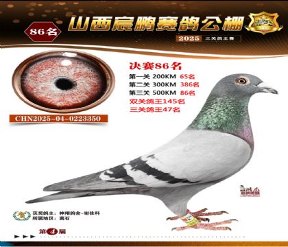 ɽ����i�Qِ86��