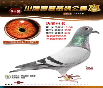 ɽ����i�Qِ84��