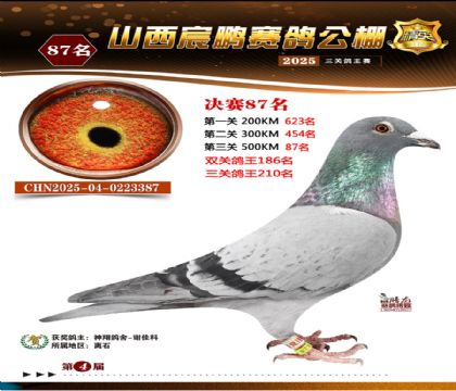 ɽ����i�Qِ87��