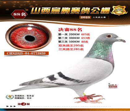 ɽ����i�Qِ88��