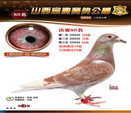 ɽ����i�Qِ89��